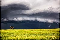 Vista 1 de Storm Photography Print (Not Framed) Picture of Thunderstorm Passing Behind Lone Tree on Nebraska Prairie Great Plains Wall Art Nature Weather Decor
