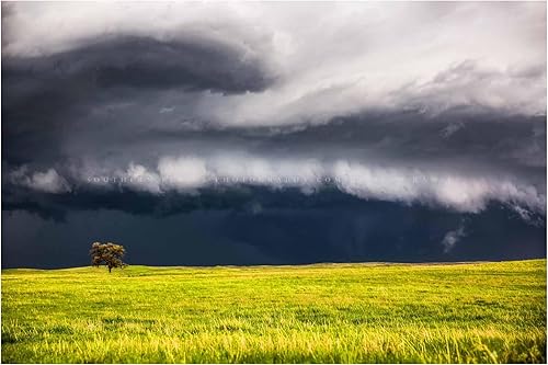 Storm Photography Print (Not Framed) Picture of Thunderstorm Passing Behind Lone Tree on Nebraska Prairie Great Plains Wall Art Nature Weather Decor