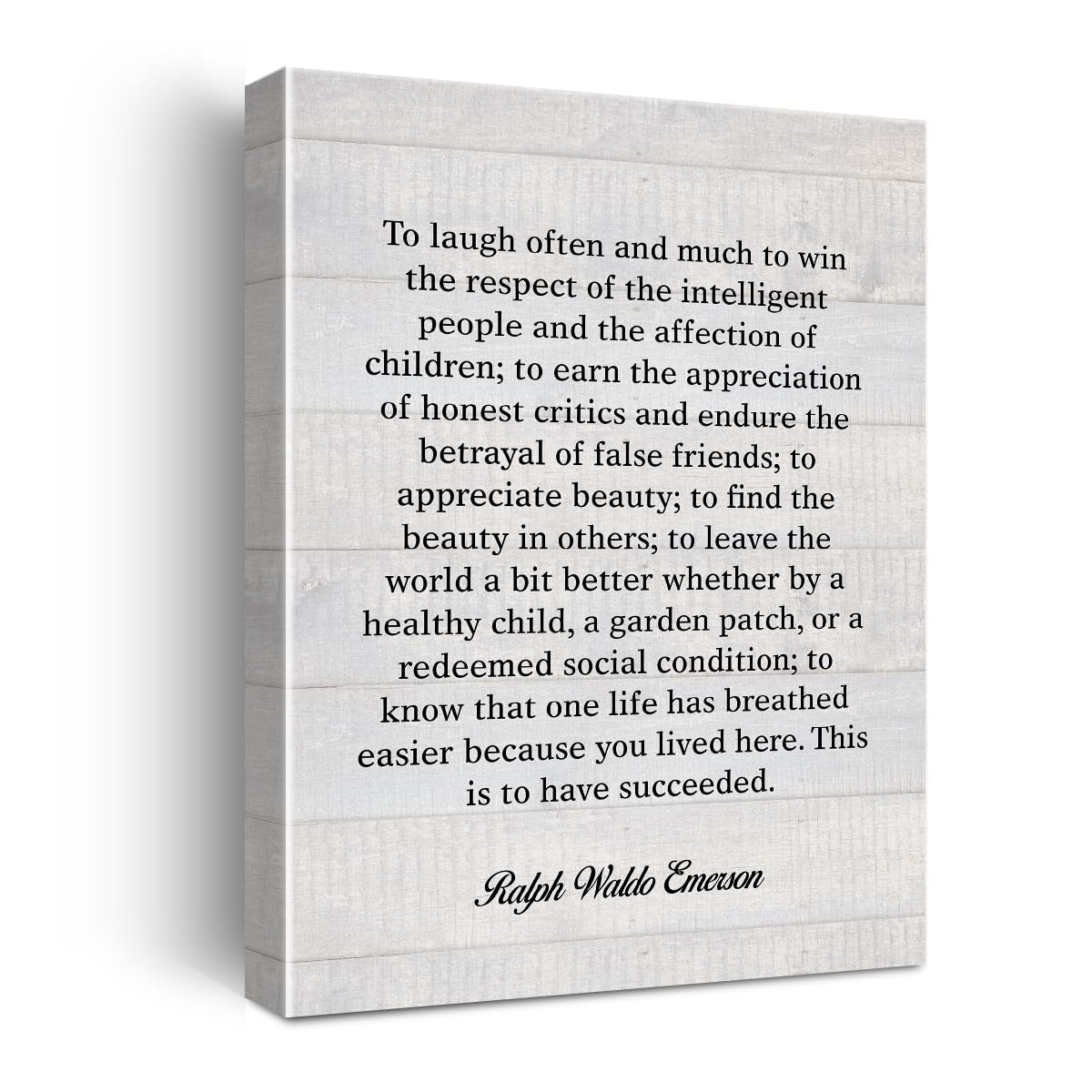 This is My Wish for You Motivational Quote Poster Canvas Wall Art for Office Home Decor - Positive Literary Canvas Print Wall Art Painting Ready to Hang Gifts - Easel & Hanging Hook 12x15 Inch