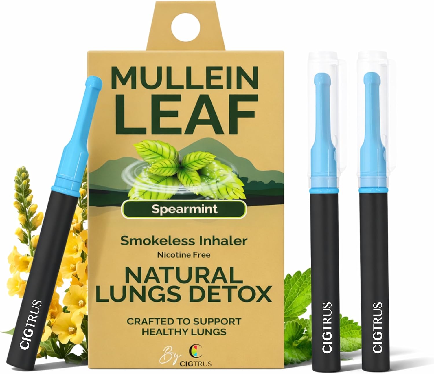 Cigtrus Mullein - Smokeless Inhaler, Quit Smoking Aid, Spearmint - 3 Pack
