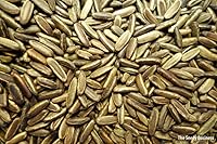 Vista 2 de Royal Poinciana Delonix árbol flamboyano semilla exótica 20 semillas flor roja