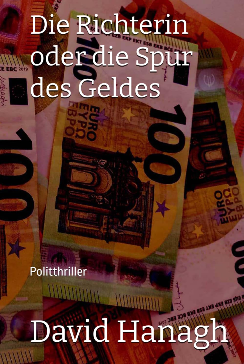 Die Richterin oder die Spur des Geldes: Politthriller