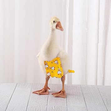 3 Duck Diapers - Washable Chicken Diapers | Reusable Poultry Diapers With Buckle | Adjustable Duckling Diapers Waterproof Chicken Clothes Pet Diapers For Hen Rooster Borato Poultry Duck