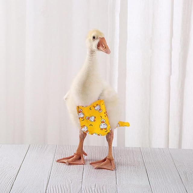 Foto 5 de 7 de 3 Pañales De Pato - Pañales De Pollo Lavables