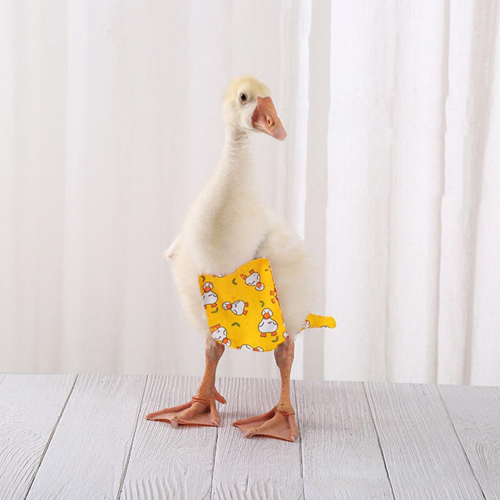 3 Pañales De Pato - Pañales De Pollo Lavables | Pañales Reutilizables para Aves De Corral con Hebilla | Pañales Ajustables para Patitos, Ropa Impermeable para Pollos, Pañales para Mascotas para GAL