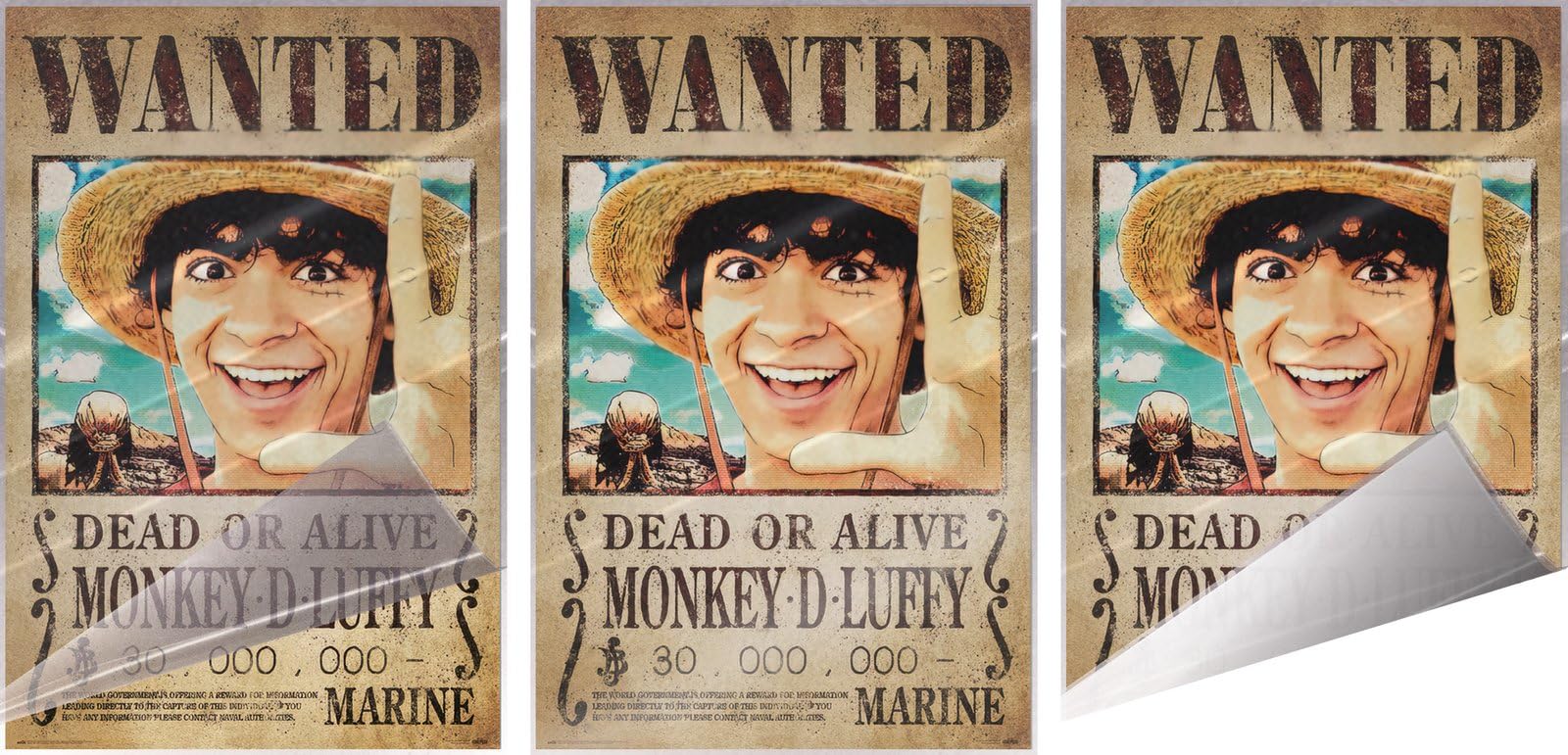 Amazon.com: One Piece - Netflix TV Show Poster (Wanted: Monkey D