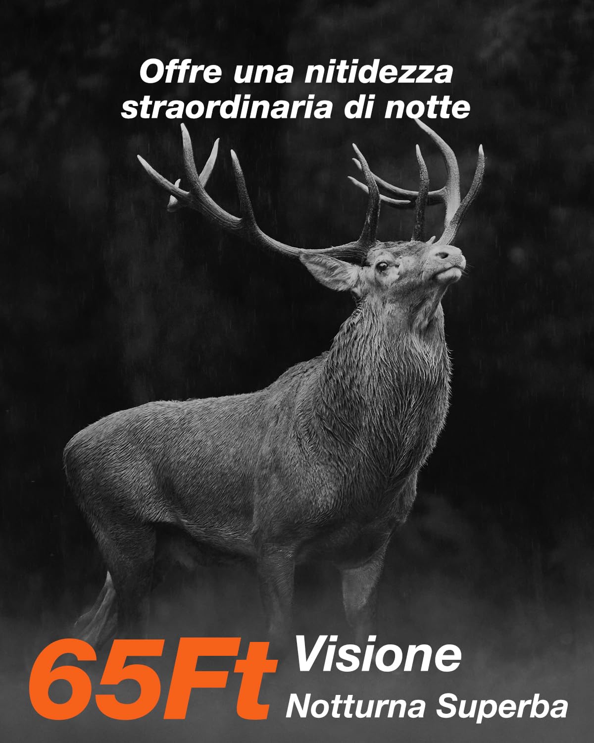 iZEEKER Fototrappola App, 4K UHD 64MP Solare Fotocamera Caccia con Scheda SD 64GB & Batteria Ricaricabile da 5200mAh, WiFi Bluetooth, Visione Notturna, Impermeabile IP66 per Monitoraggio Fauna