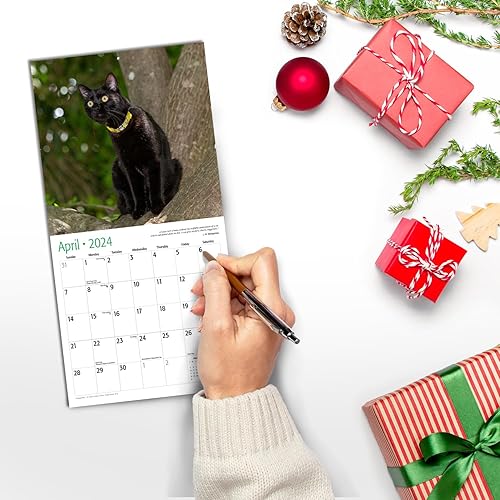 Miniatura 4 de Red Ember - Mini calendario de pared para espacios pequeños, gatos negros 2024, colgante mensual por Red Ember, solo 7 x 14 pulgadas de apertura,