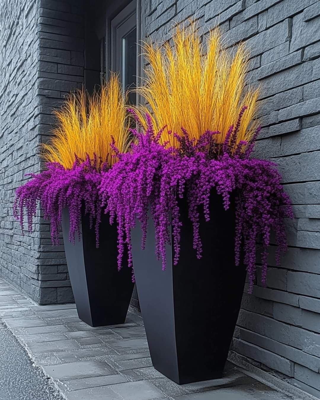 Pampas Grass Seeds - Cream - 100 Seeds -6