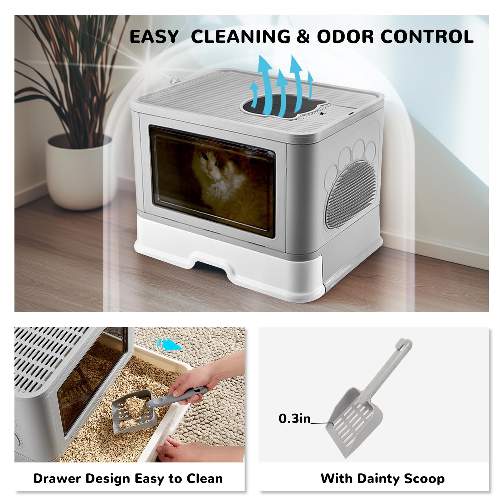 https://m.media-amazon.com/images/I/71B27NjfXIL.jpg