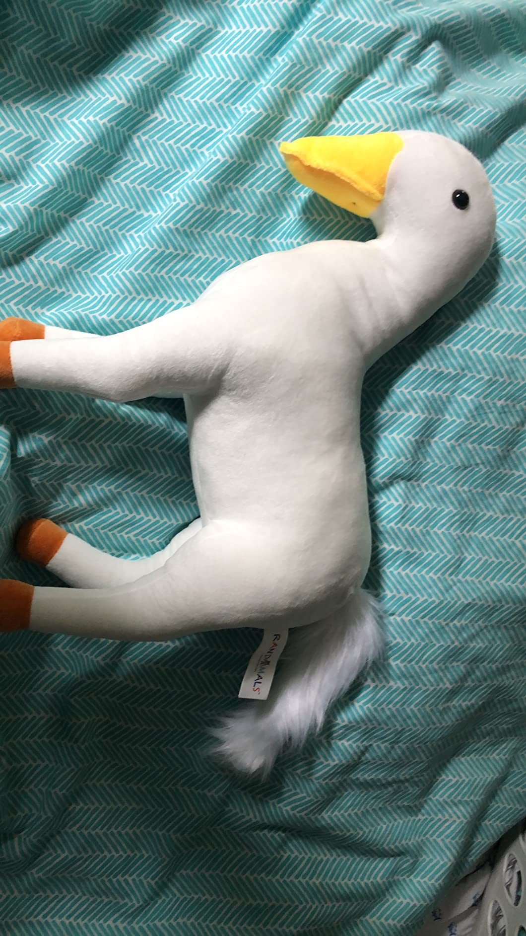 Huck (Plush) Randimals