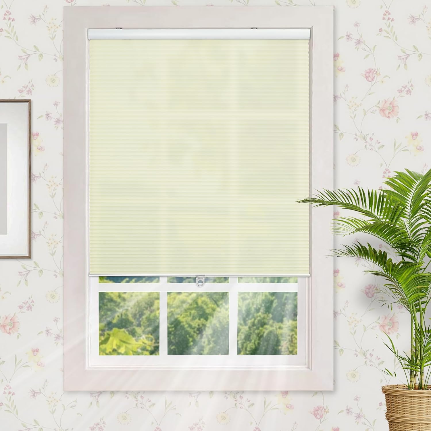 HESTIA Light Filtering Cellular Shades Cordless, Thermal Insulation UV Protection Honeycomb Blinds, Pull Down Pleated Window Shades for Bedroom/Living Room/Office, Cream, 20" W X 48" H