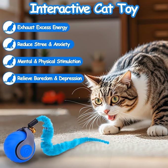 Juguete interactivo bola para gatos azul miniatura 5