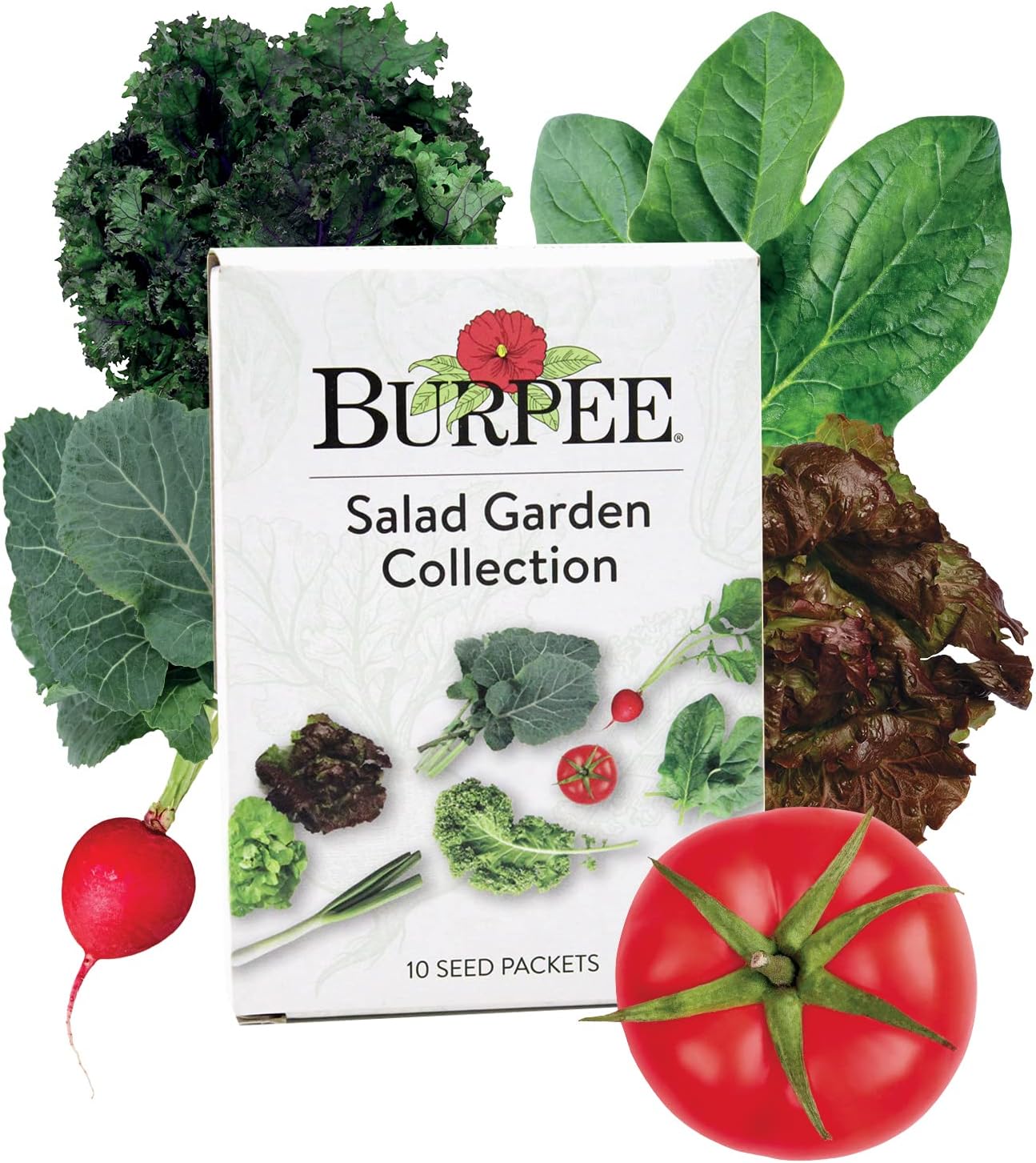 17 Best Vegetable Seeds under 30 in 2022 [According to 389 Experts