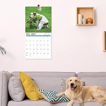 2027 Wall Calendar 12 Monthly Pooping Dogs Calendar 2027, Jan 2027 - Dec 2027, Funny Dog Calendar Gag Gifts, 11.8 x 23.6 (Open), 11.8 x 11.8(Closed), Perfect White Elephant Gift Funny