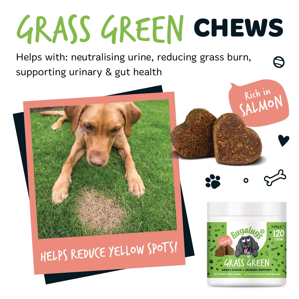 Bugalugs Grass Green Dog Supplement Chews helps support Dog Urine Neutraliser for Grass Burn with Cranberry that helps Urinary & Gut Health - Image 2