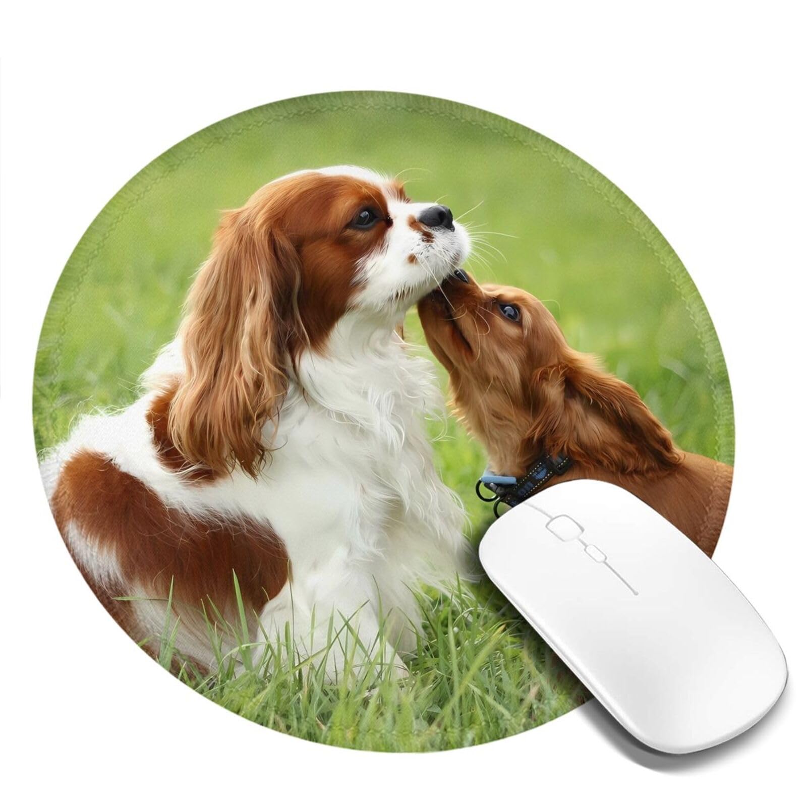 Amazon.co.jp: マウスパッド スパニエル犬 滑り止めマウスマット