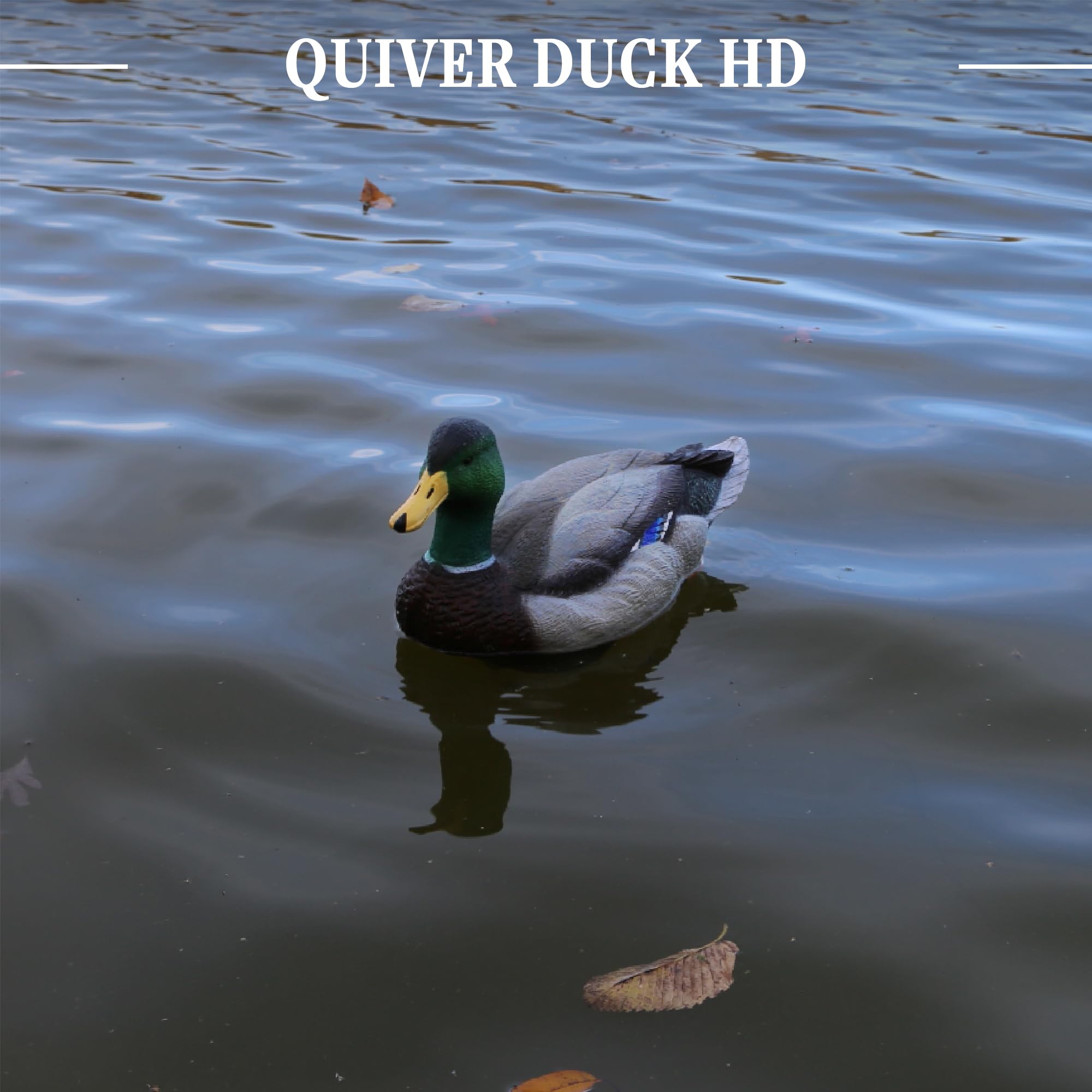 Lucky Duck - Faretra Anatra HD