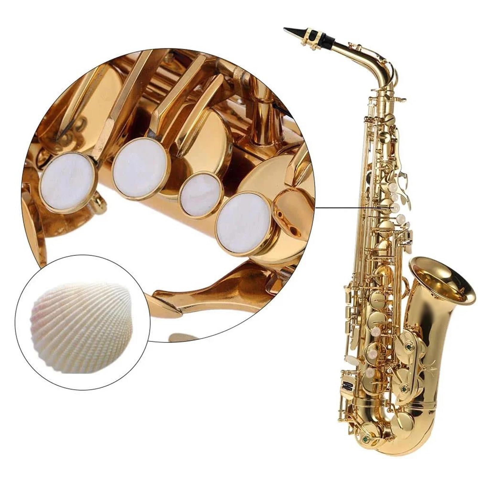 sassofono Mi Bemolle Mib Sassofono Contralto Ottone Laccato Sax Strumento A Fiato Con Custodia Accessori Per Sassofono (Color : Gold)