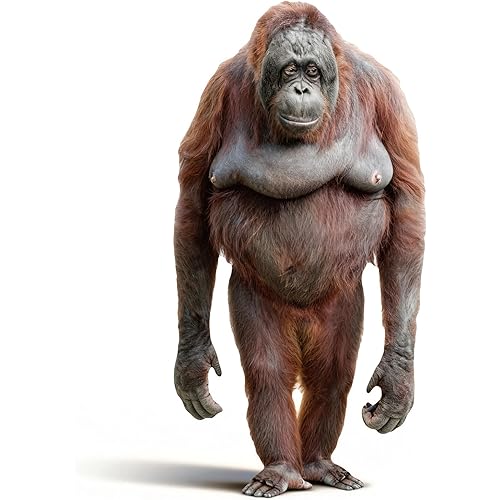 4FT Gorilla Cardboard Cutout Life-Size Animal Cutout Realistic Jungle Wildlife Photo Booth Prop Decor for Parties, Zoo-Themed Events, Classrooms, Birthday Decoration Supplies 24.02" x 47.24"