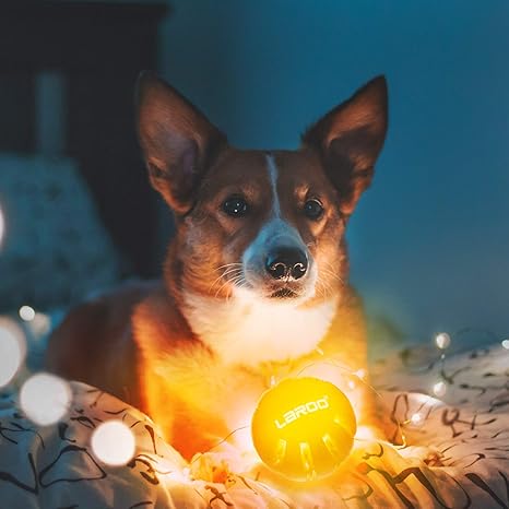 led dog balls