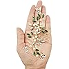 Product Photo 7
