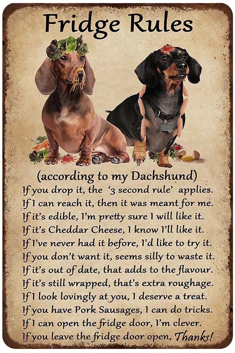 Metal Tin Sign Fridge Rules Dachshund Poster Vintage Tin Sign Sign for Street Garage Family Cafe Bar People Cave Farm Wall Bathroom Decoration 8x12inch
