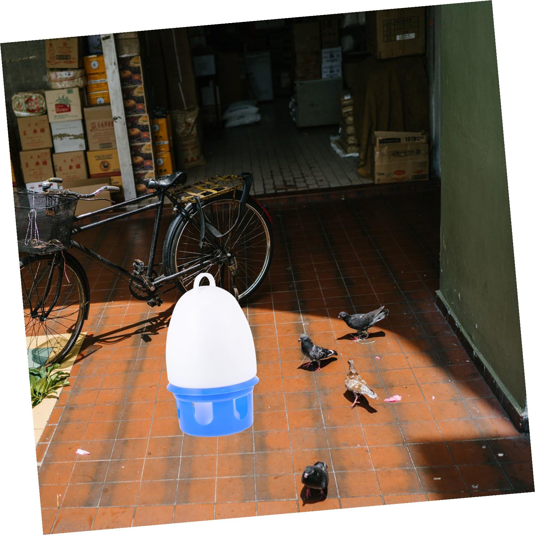 Abreuvoir pour Pigeons en PVC, Bleu, Portable, avec Échelle