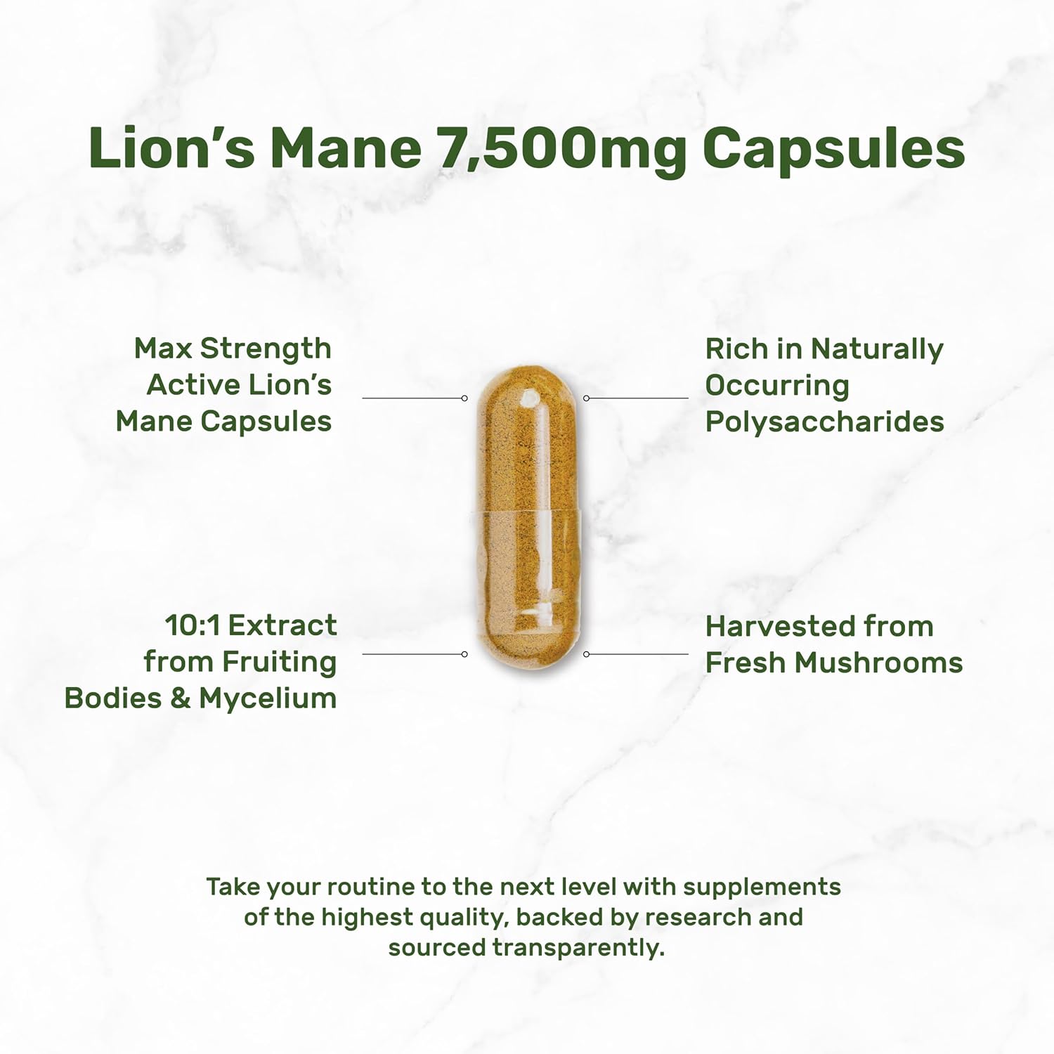 Lions Mane Mushroom Supplement, 240* Capsules – Active Fruiting Body & Mycelium Extract – Natural Brain Nootropic & Immune System Booster – Non-GMO - Image 5