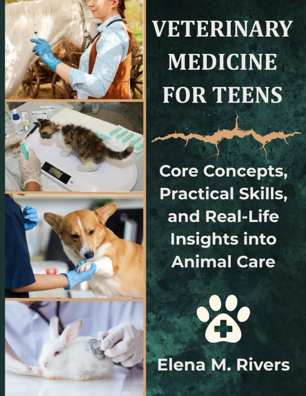 Veterinary Medicine For Teens: Core Concepts, Practical Skills, and Real-Life Insights into Animal Care