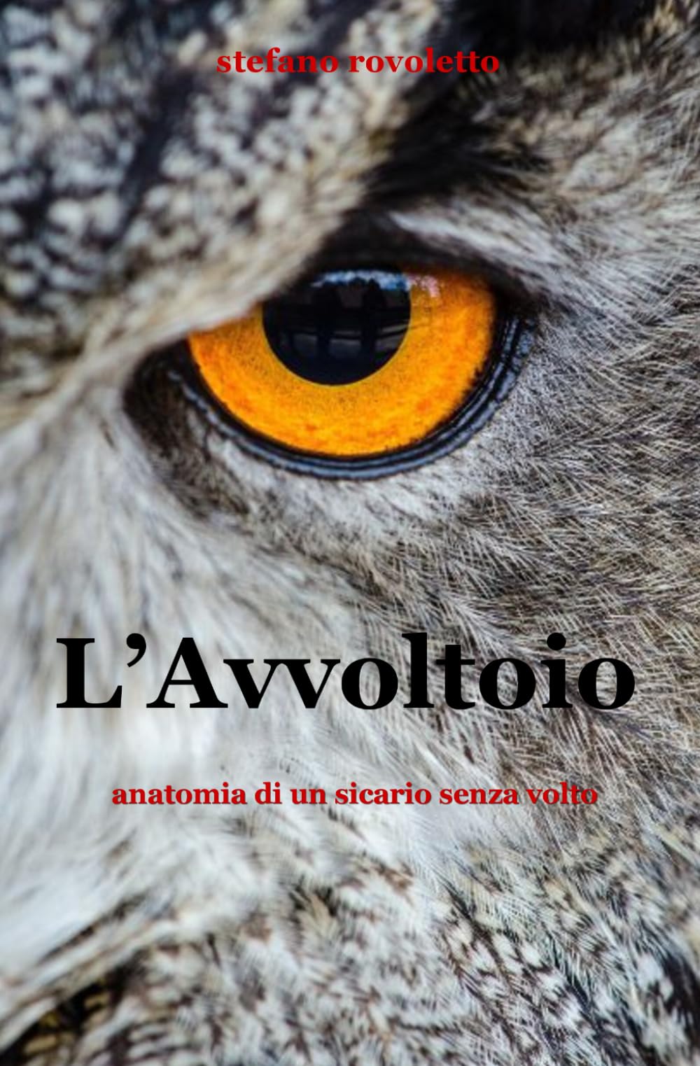 L'Avvoltoio: anatomia di un sicario senza volto