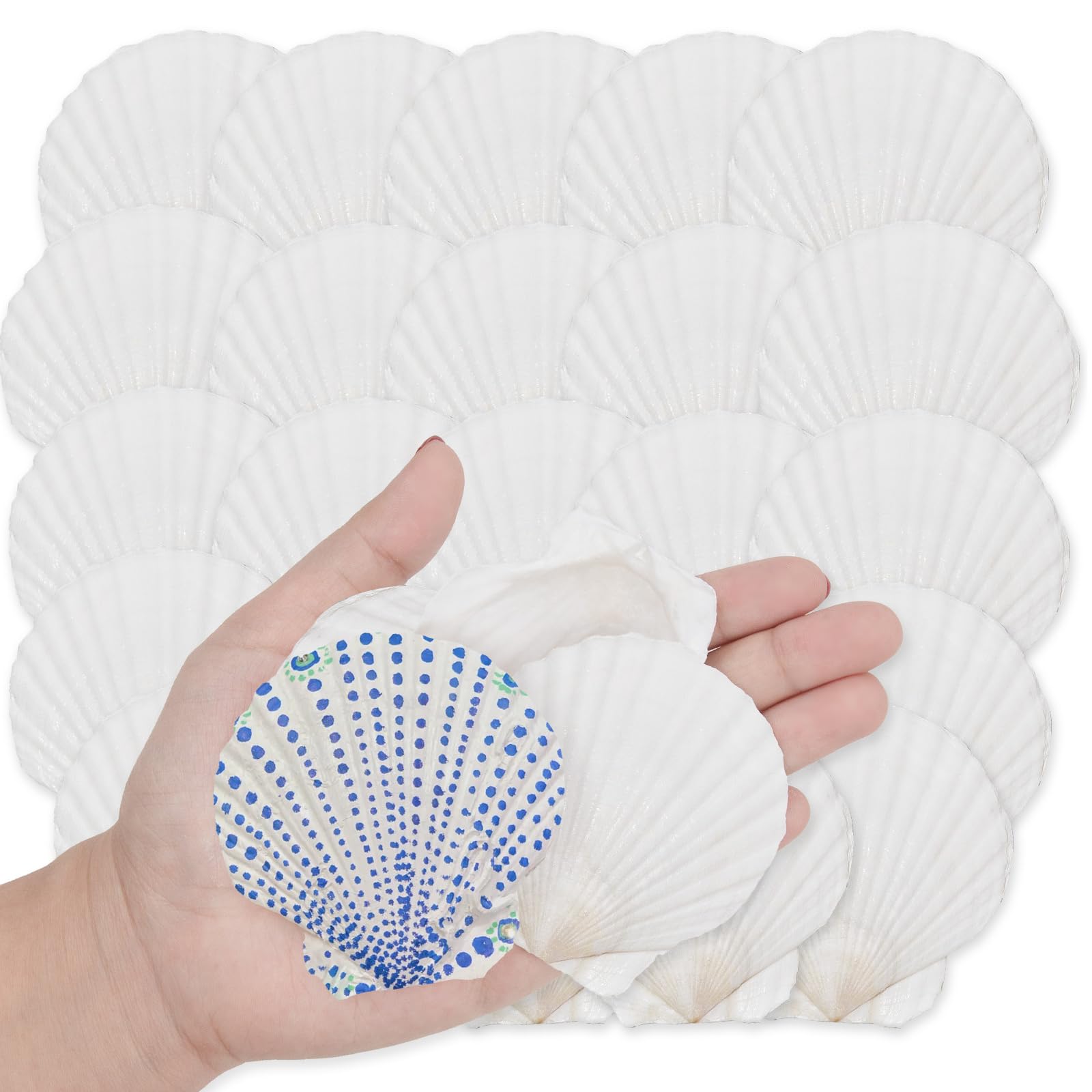 NA Scallop Shells White Natural Seashell 16 PCS for DIY Craft Mermaid Beach Wedding Home Decoration