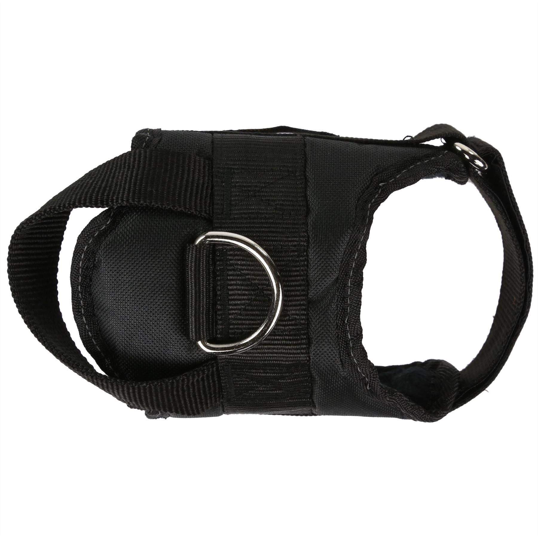 Regatta Reflective Dog Harness (M) (Black)