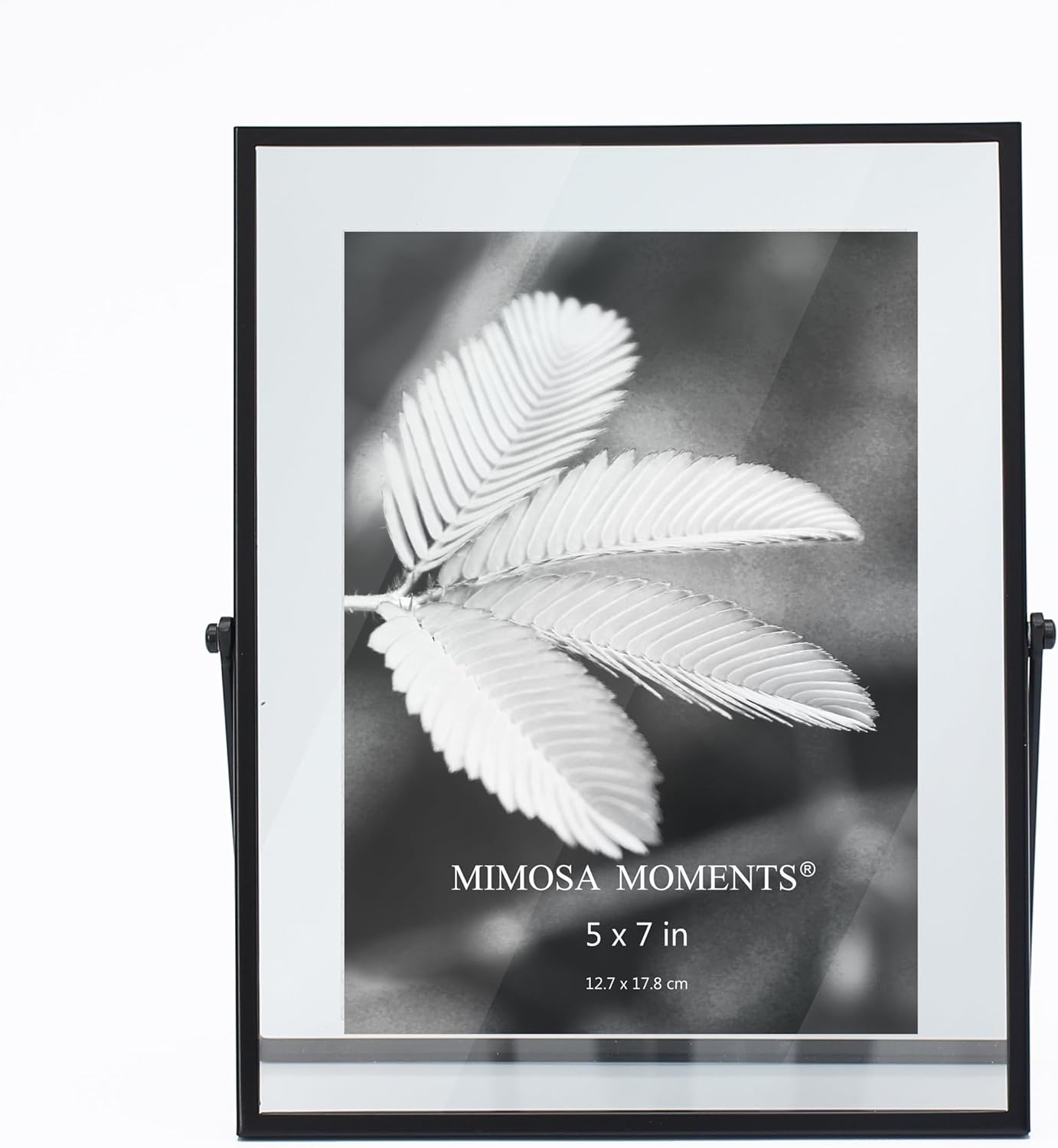 MIMOSA MOMENTS 8x10 Silver Metal Floating Picture Frame, Double Glass Tabletop Display, Modern Minimalist Photo Frame for Home & Office Decor