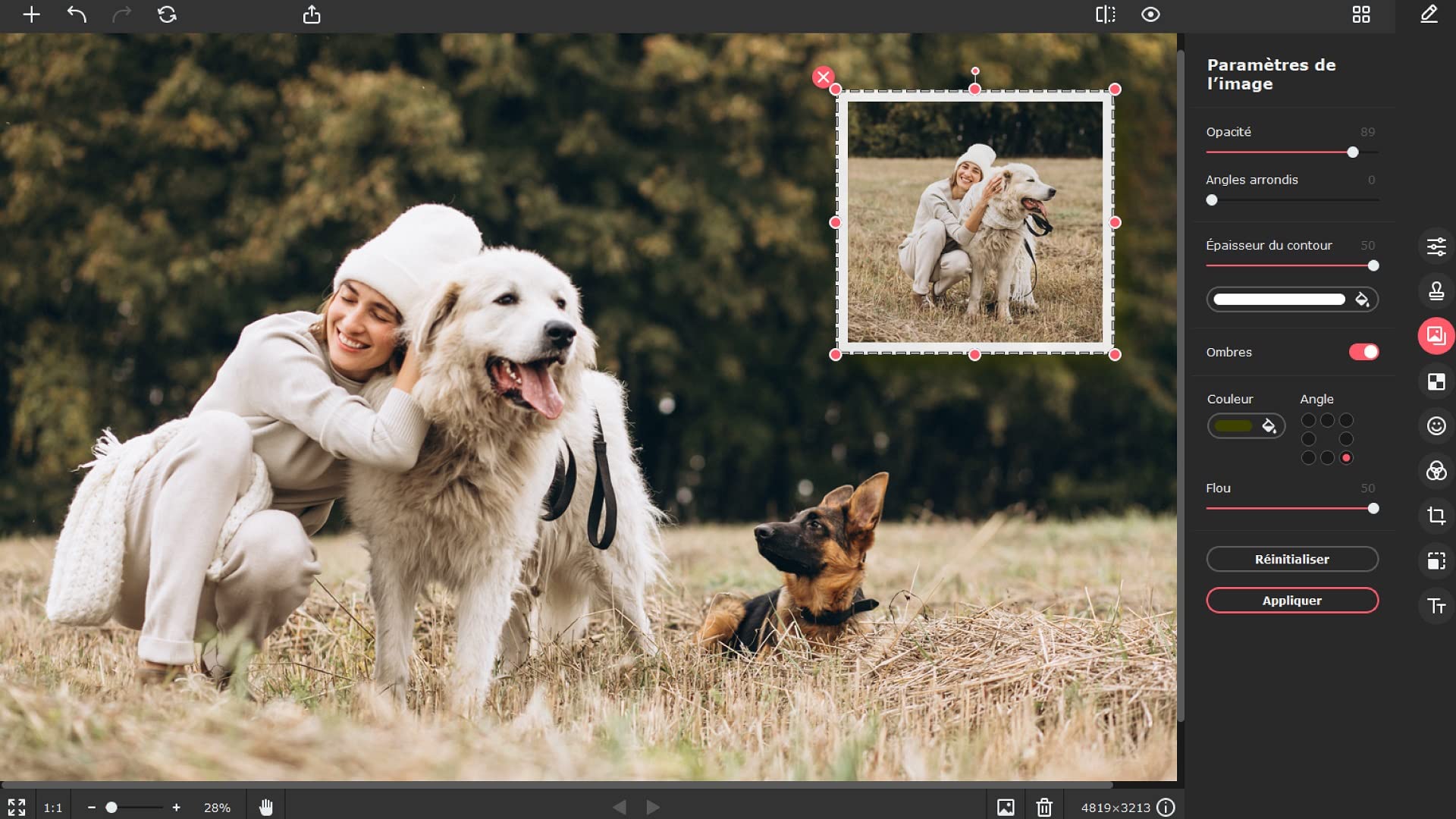 Movavi Picverse 1.4 | Personnelle | 1 appareil | PC | Code d'activation PC - envoi par email
