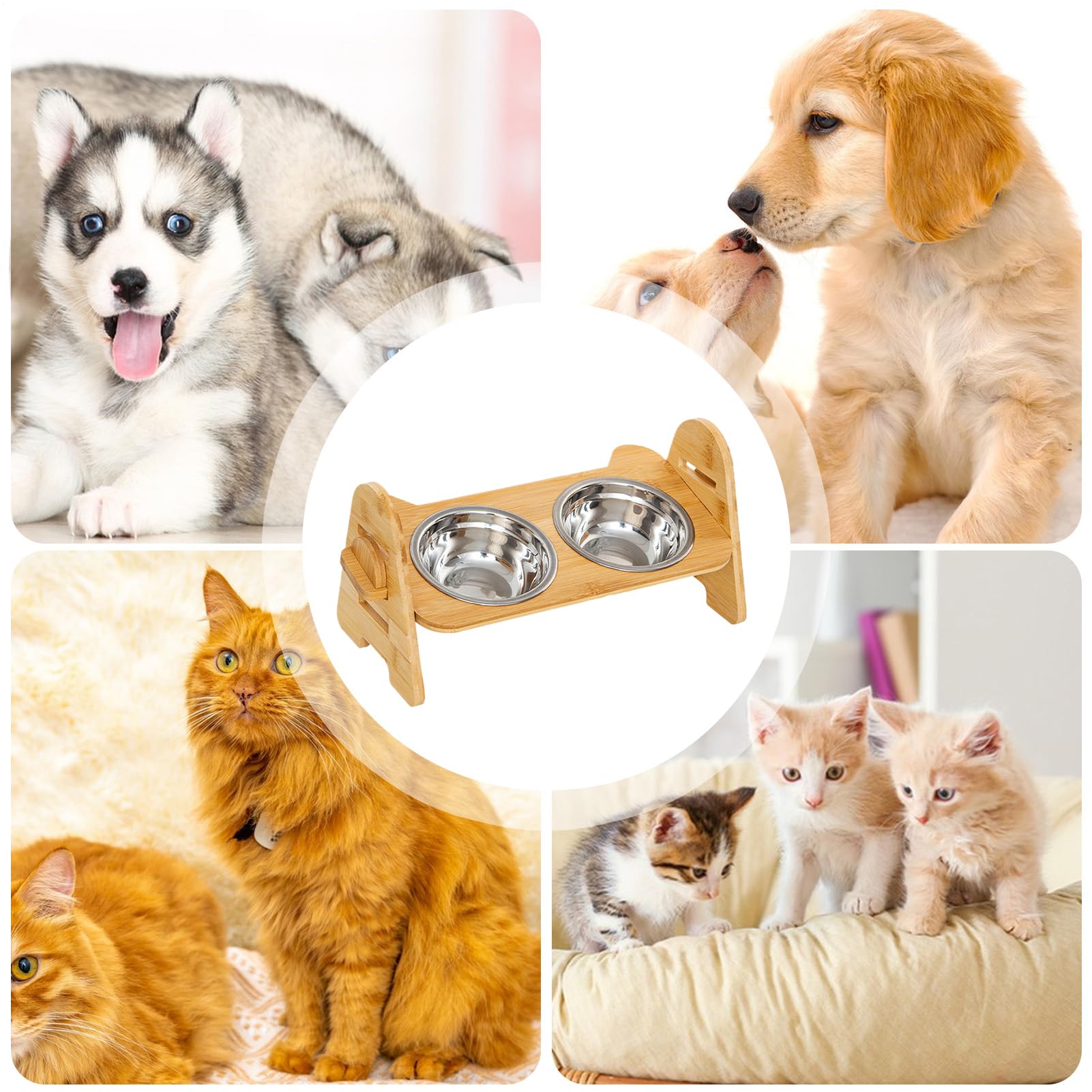 Gamelles surélevées Support gamelle antidérapant chiens petits, moyens,