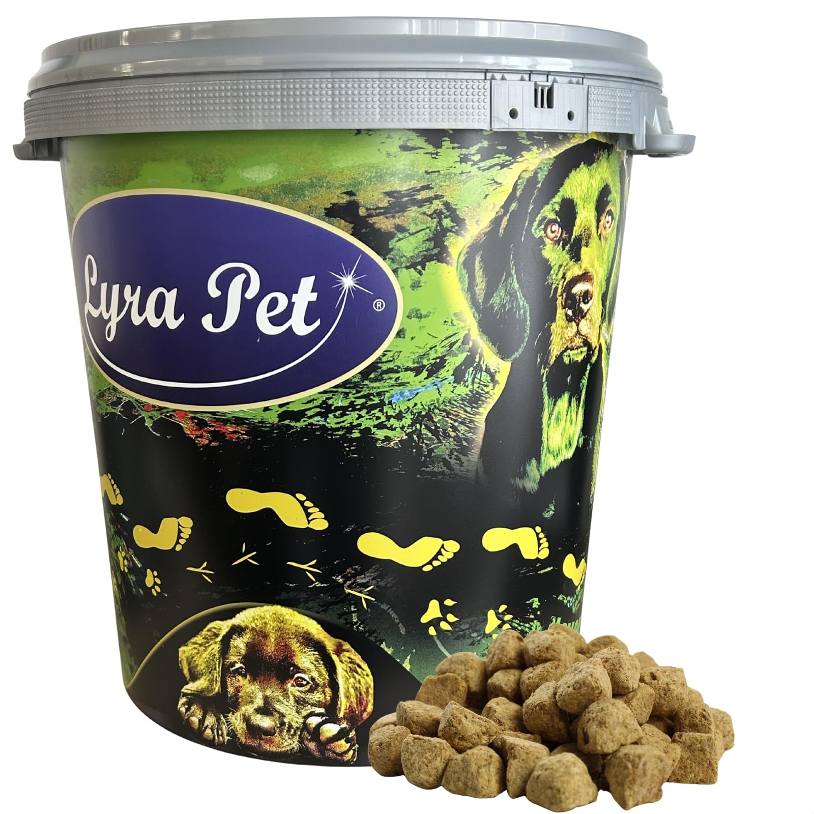 Lyra Pet® 5 kg Artemia Würfel gefriergetrocknet in 30 L Tonne Fischfutter | Futter aus Salinenkrebsen - Reich an Proteinen, Fetten & Ballaststoffen - Natürliche Nahrung für Zierfische & Reptilien