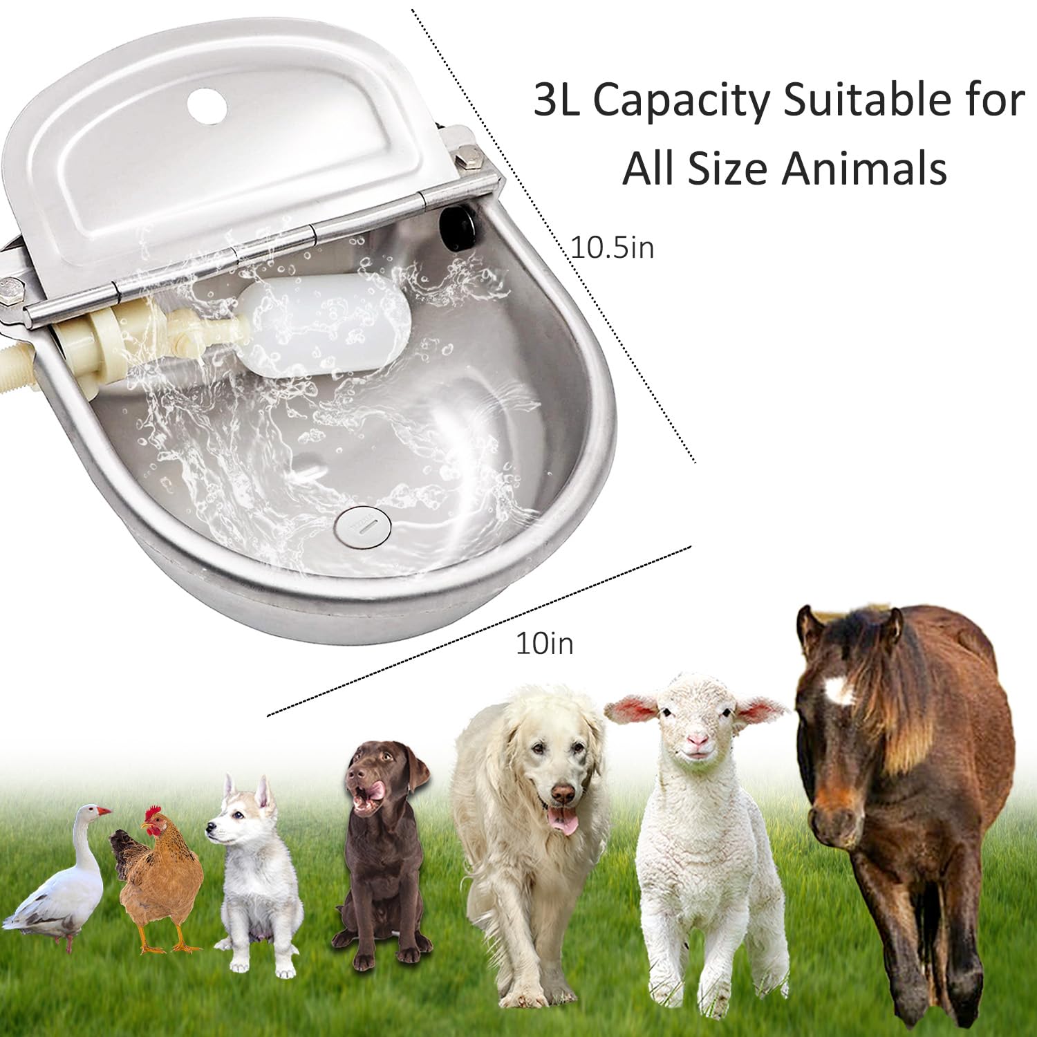 Distributore automatico di acqua per cani Dispenser per ciotola d'acqua di grandi dimensioni in acciaio inossidabile Alimentatore per abbeveratoio automatico per pollame e bestiame