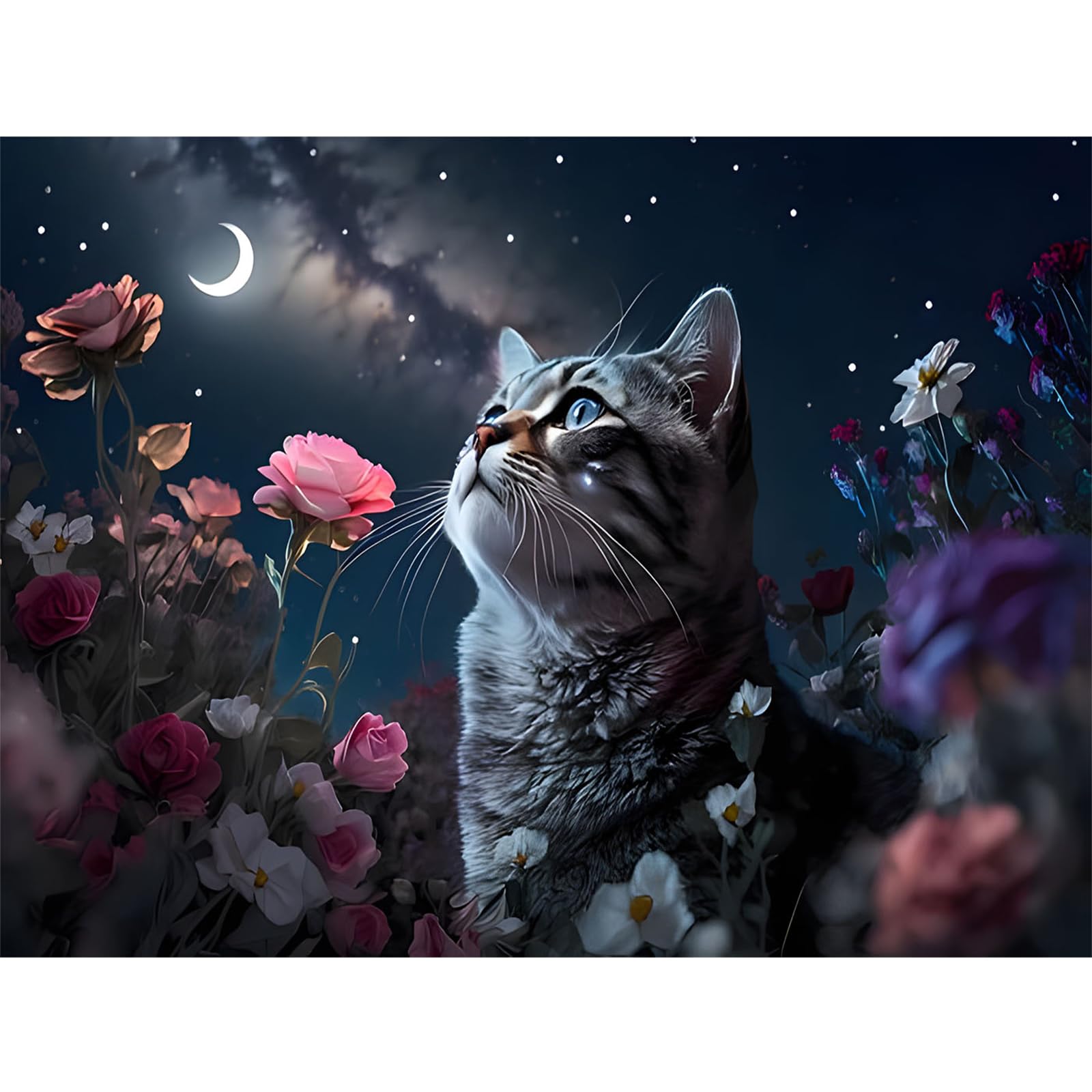EOBROMD 5D Diamond Painting Kit Completo Gatto Luna Pittura
