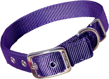 thick nylon dog collars