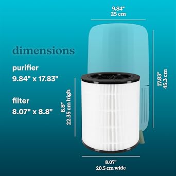 Homedics True HEPA Replacement Filter For Homedics Air Purifier