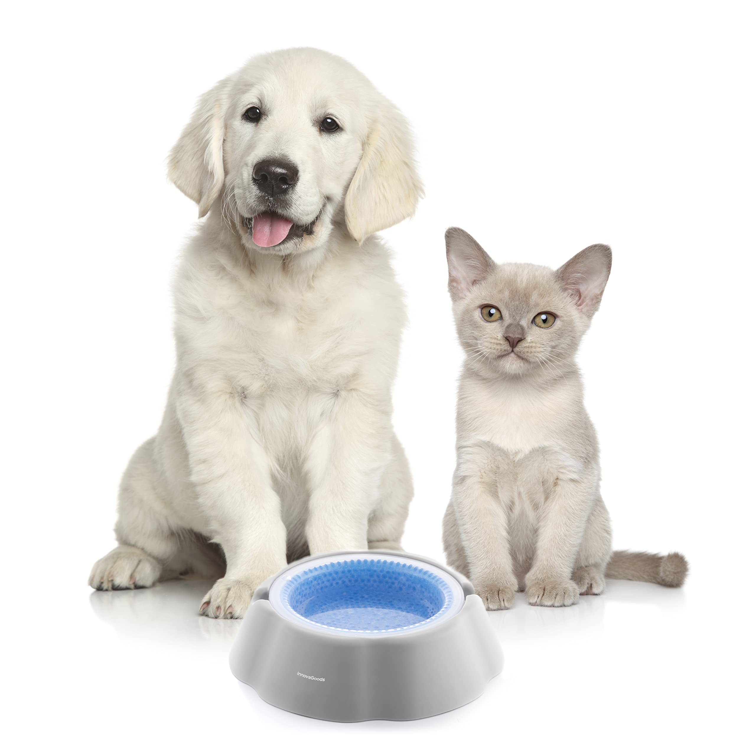 Bebedero Refrescante para Mascotas Freshty InnovaGoods, Gris Azul