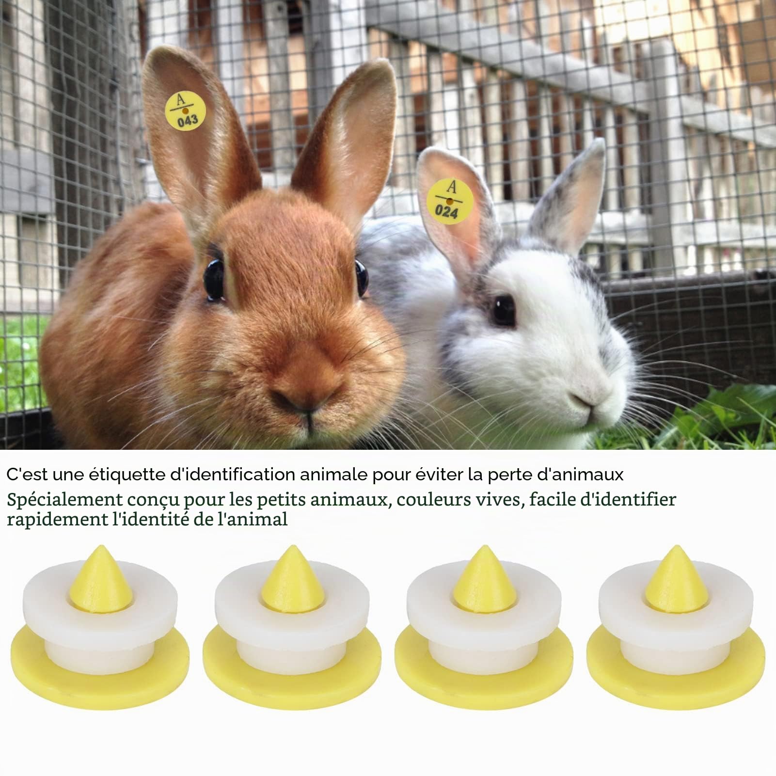 100 ensembles étiquettes d'oreille de lapins étiquettes,Étiquettes Auriculaires De Lapin, Marqueurs D'identification des Animaux Pour le Bétail, Plastique Durable, Identification Et Gestion Faciles