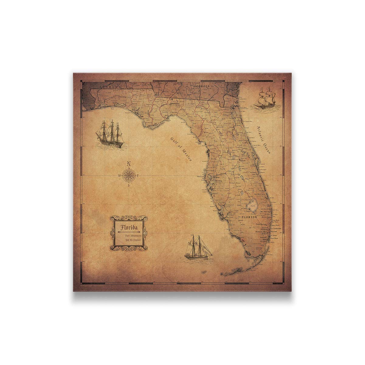 Conquest Maps Push Pin Florida Map Board