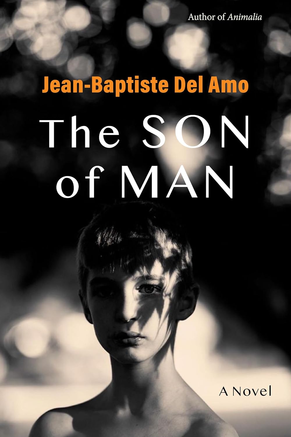  Jean-Baptiste Del Amo, Frank Wynne  (Translator) The Son of Man