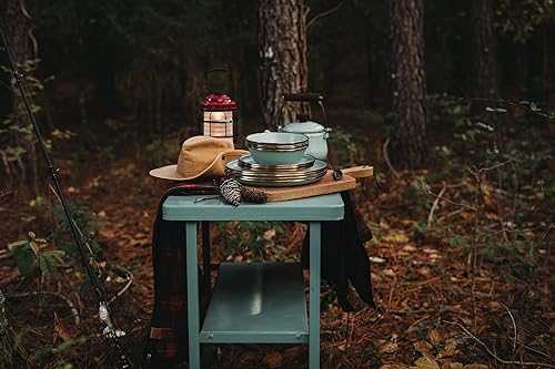 Vista 172 de Barebones Plato profundo esmaltado – Juego de 2 platos llanos – Juego de platos de acero inoxidable horneado acabado a mano – Juego de cocina