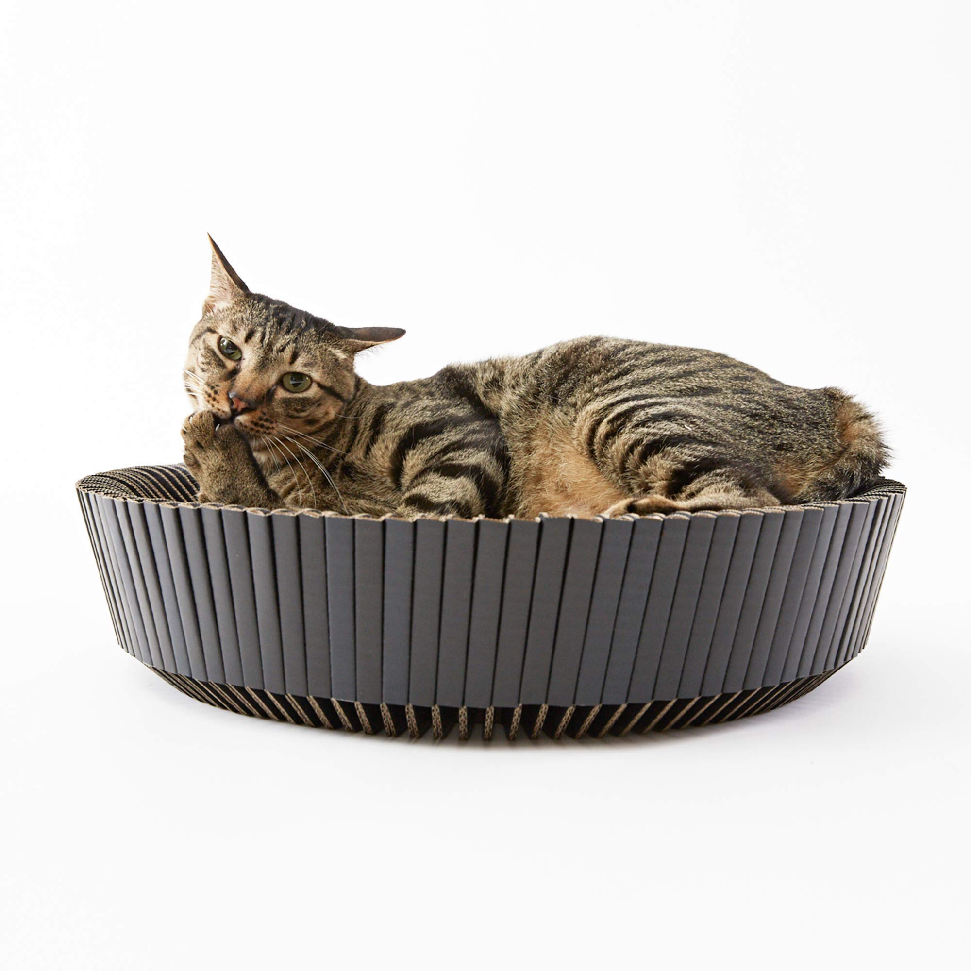 KATRIS Nest Cat Scratcher Lounge Bed (Midnight Black Un-Assembled)