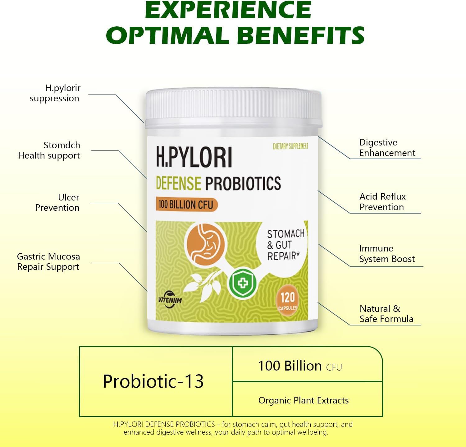 Helicobacter Pylori Defense Probiotics – Formulated with Lactobacillus reuteri, Mastic Gum, and Berberine, 100 Billion CFU, Gastritis, Digestion & Gut Health for Stomach Comfort, Vegan, 120 Capsules. - Image 2