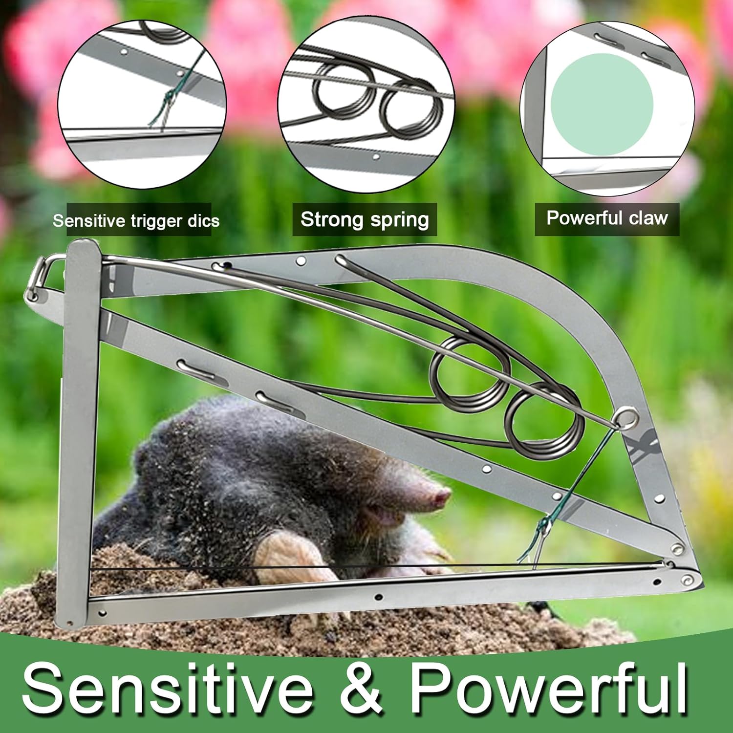 Reusable Outdoor Chipmunk Spring Trap - for Meadow, Woods, Orchard, Gardens & All Outdoor Spaces (1, M-6IN)