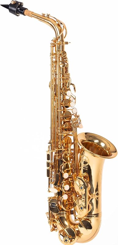 Herche Superior Alto Saxophone X3 | Professional Instruments for All Levels, High F# Key, Educator Approved, Service Plan
